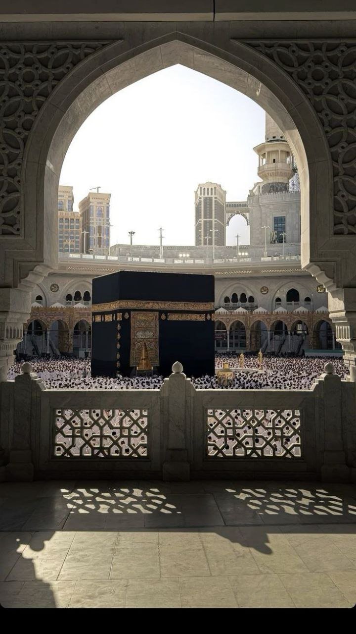 photo_2025-12-04_19-21-20